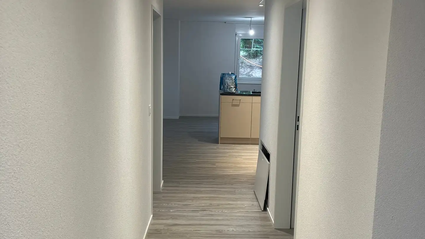 Appartamento in affitto - Dänikerstrasse 13, 8108 Dällikon - Photo 2