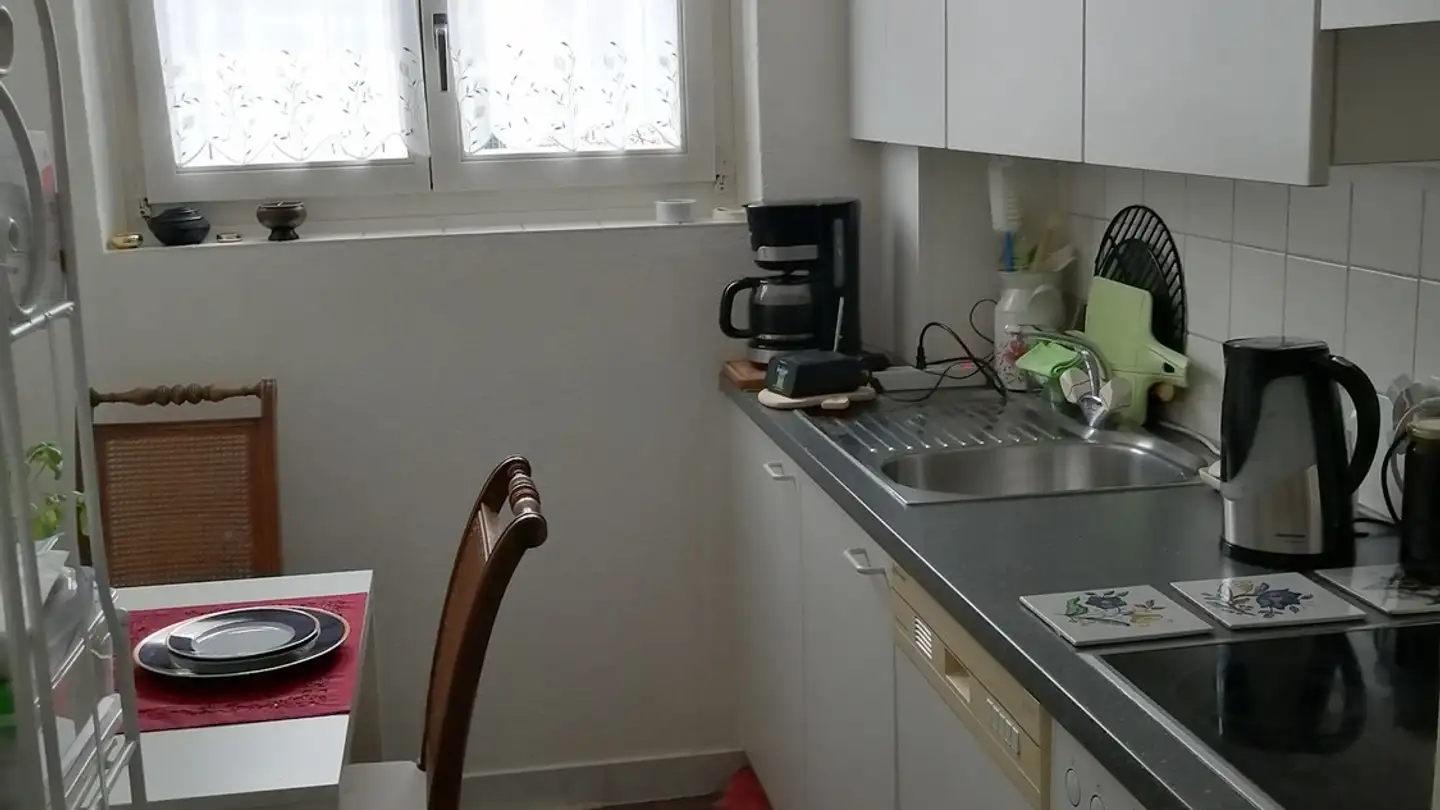 Appartamento in affitto - Altstetterstrasse 281, 8047 Zürich - Foto 2