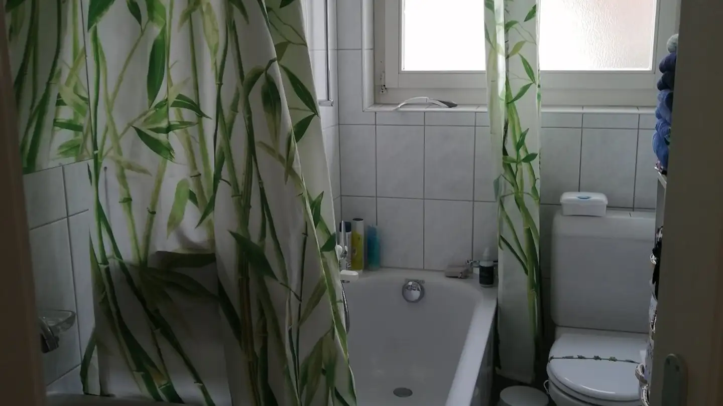 Appartamento in affitto - Altstetterstrasse 281, 8047 Zürich - Foto 3