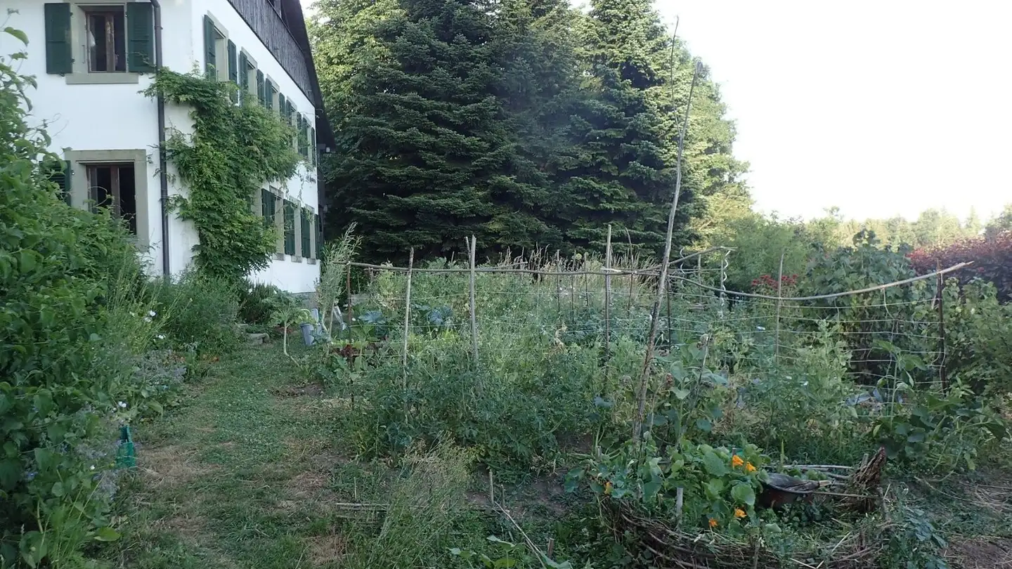 Stanza singola in affitto - 1801 Le Mont-Pèlerin - Foto 3