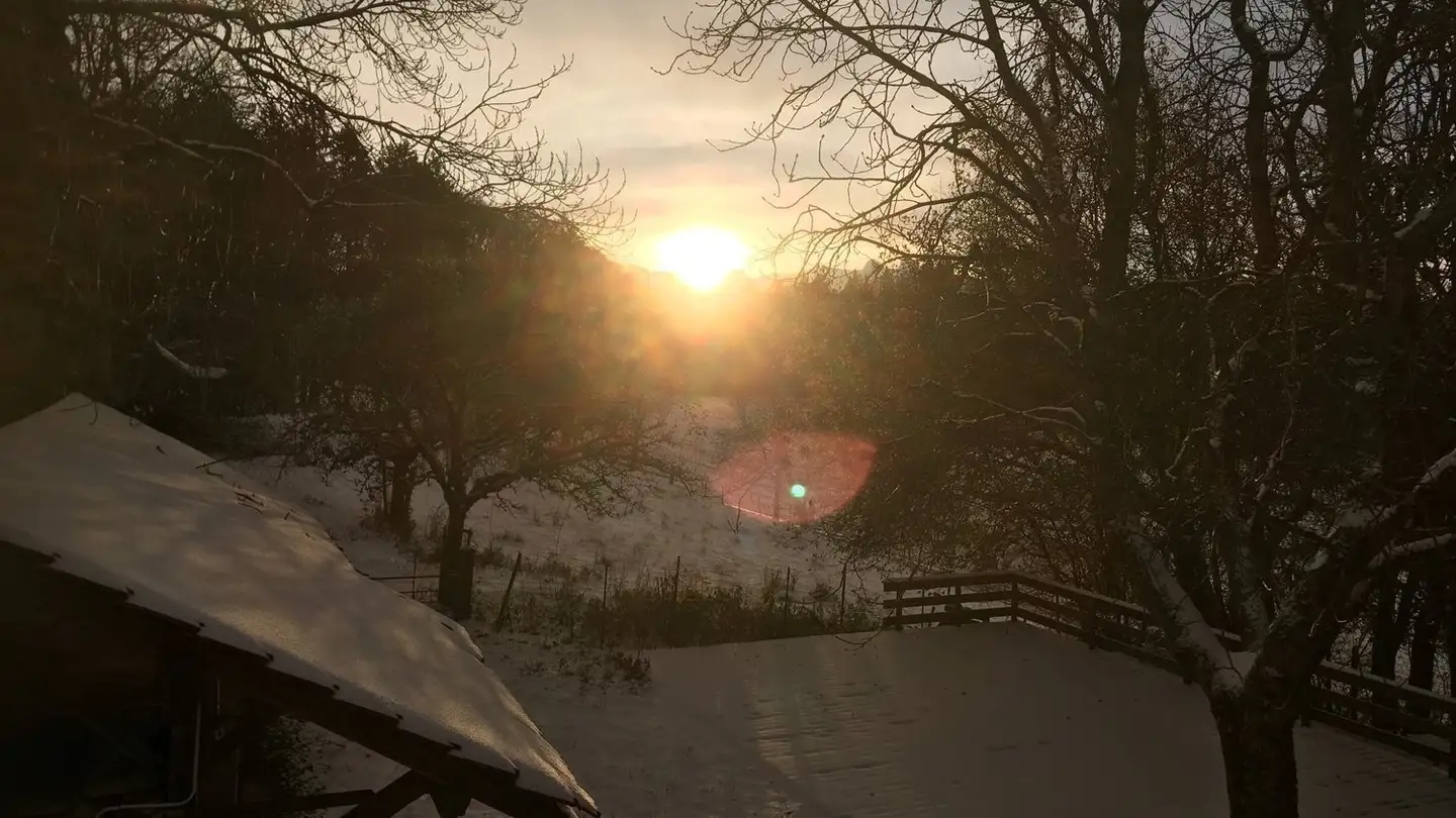 Stanza singola in affitto - 1801 Le Mont-Pèlerin - Foto 4