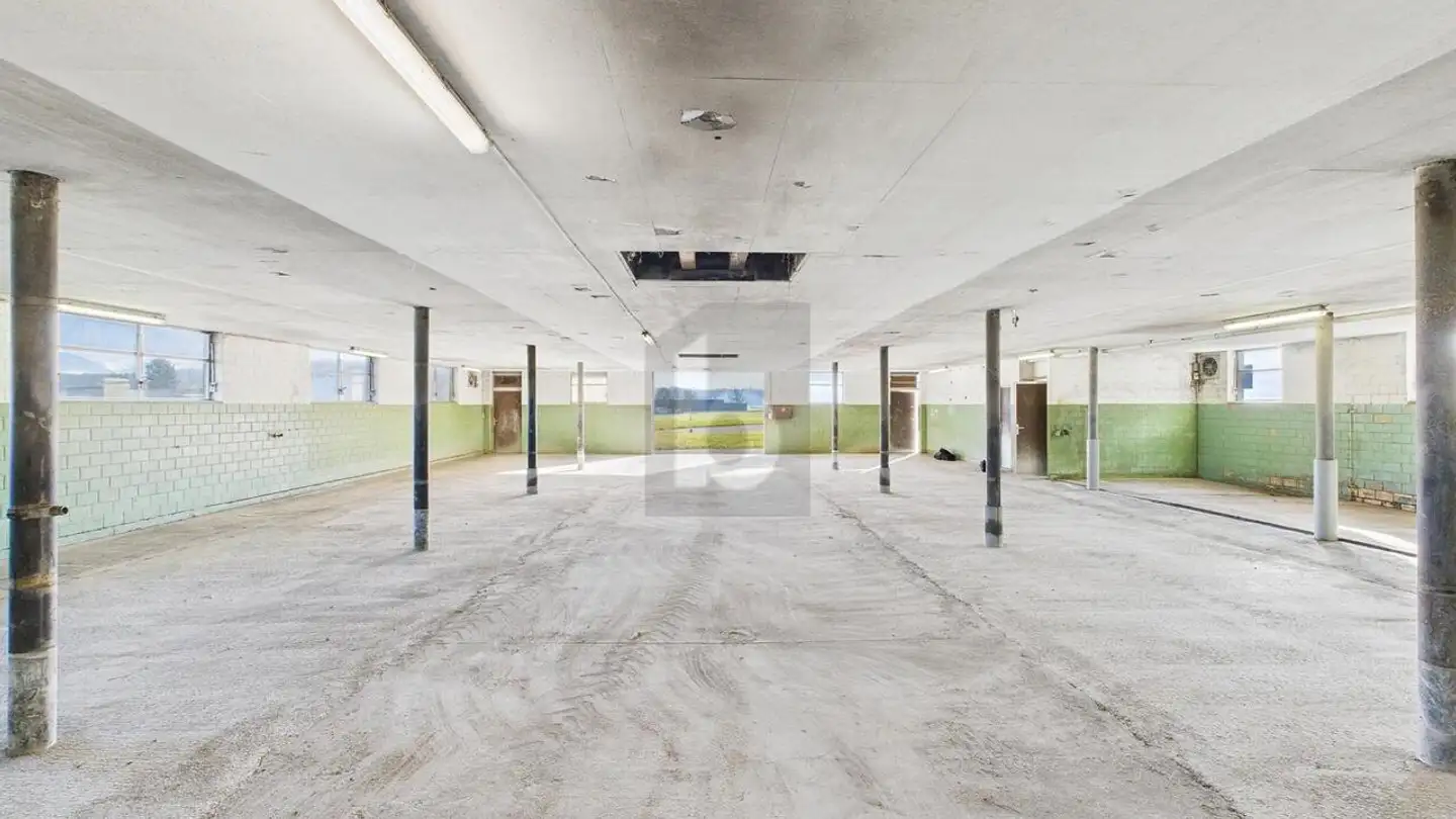 Commercial for rent - 6032 Emmen