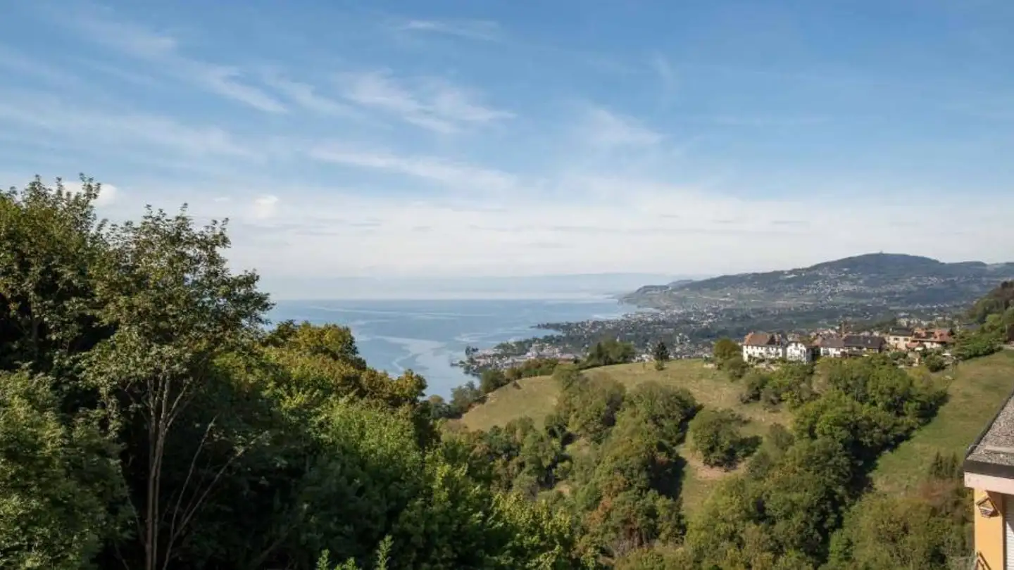 Appartamento in affitto - 1823 Glion - Foto 2