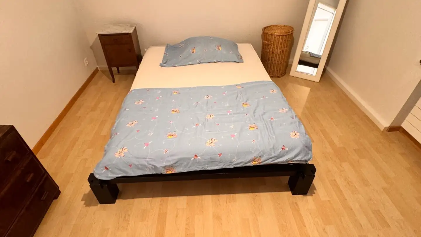 Single room for rent - Hürststrasse 96, 8046 Zürich