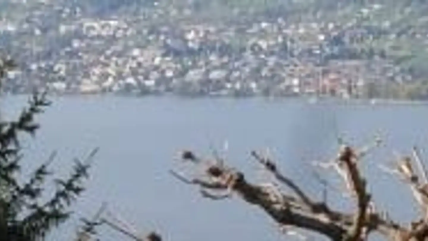 Studio mieten - Riedgutschstrasse 44, 8832 Wollerau