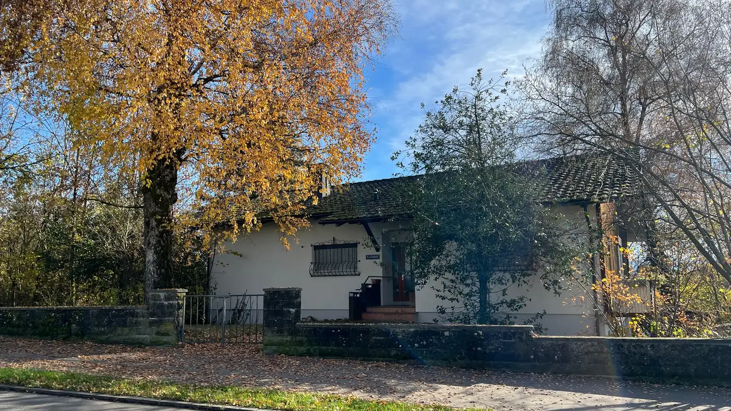 Maison individuelle à vendre - Berghofstrasse 30, 8625 Gossau ZH - Photo 4