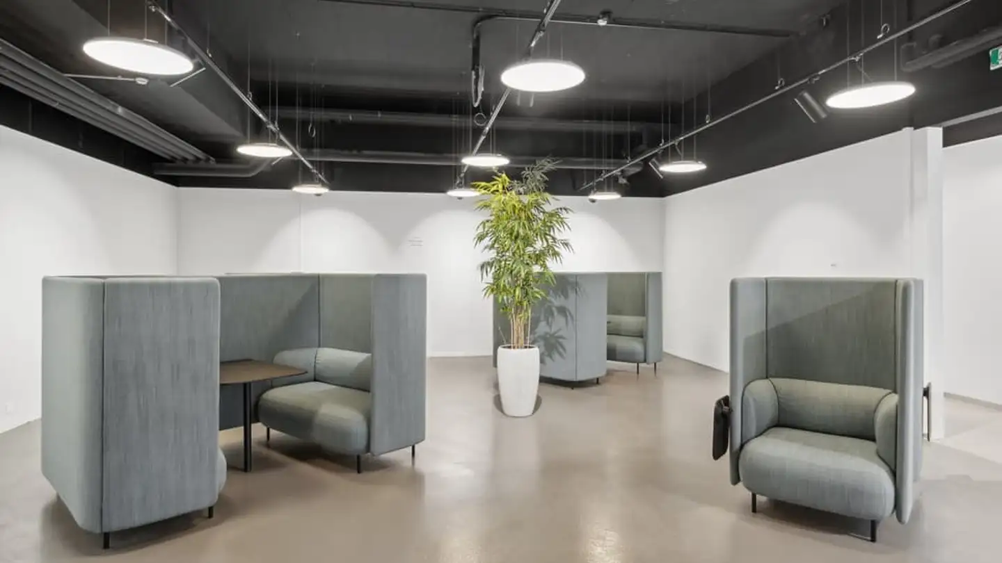 Gewerbe mieten - Avenue De Rhodanie 40, 1007 Lausanne - Foto 3