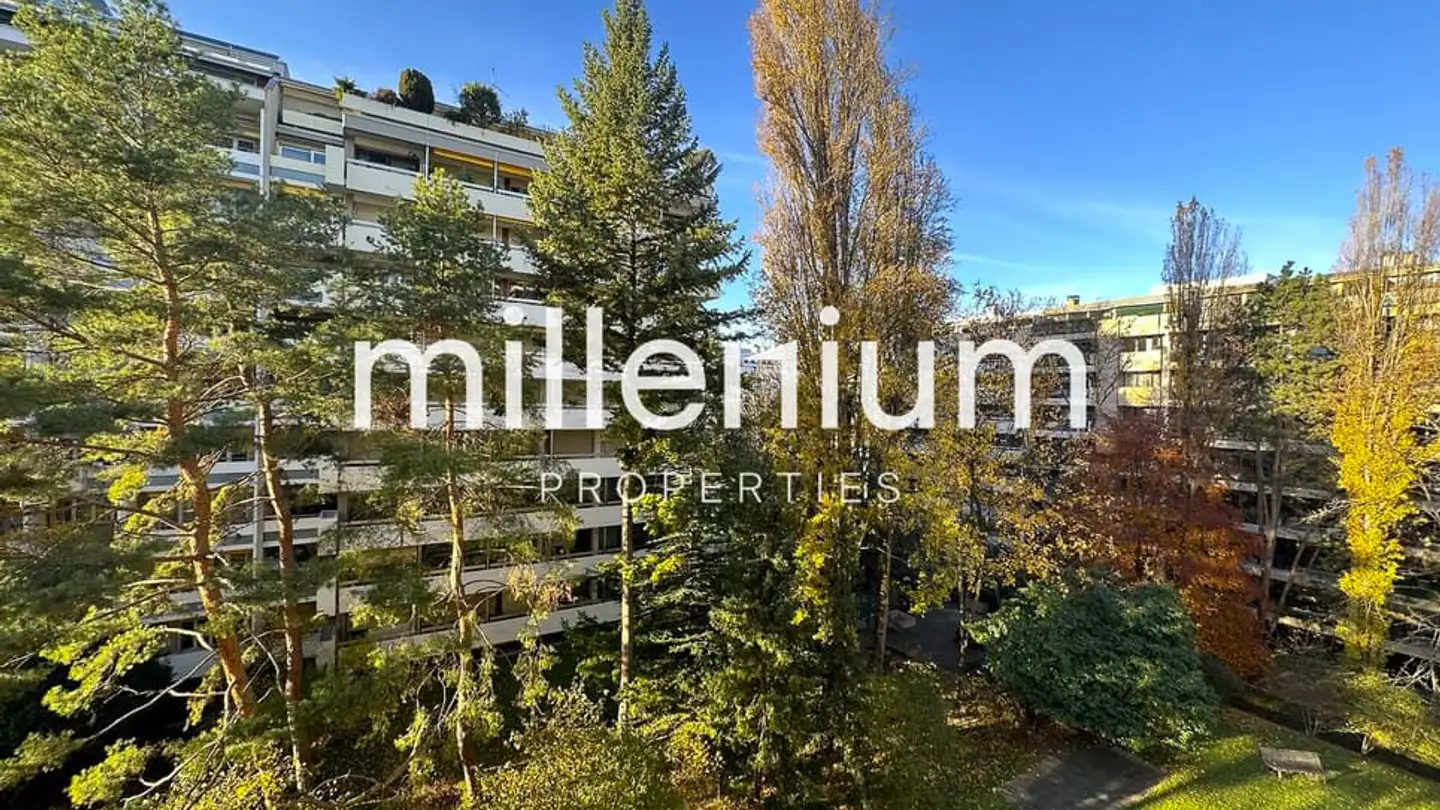 Appartement à louer - 1206 Genève