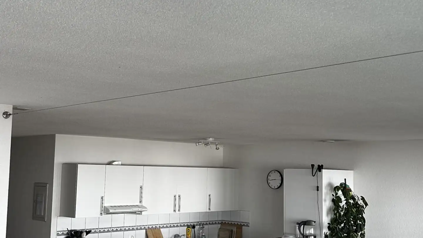 Appartamento in affitto - Arianestrasse 19, 8052 Zürich - Foto 4