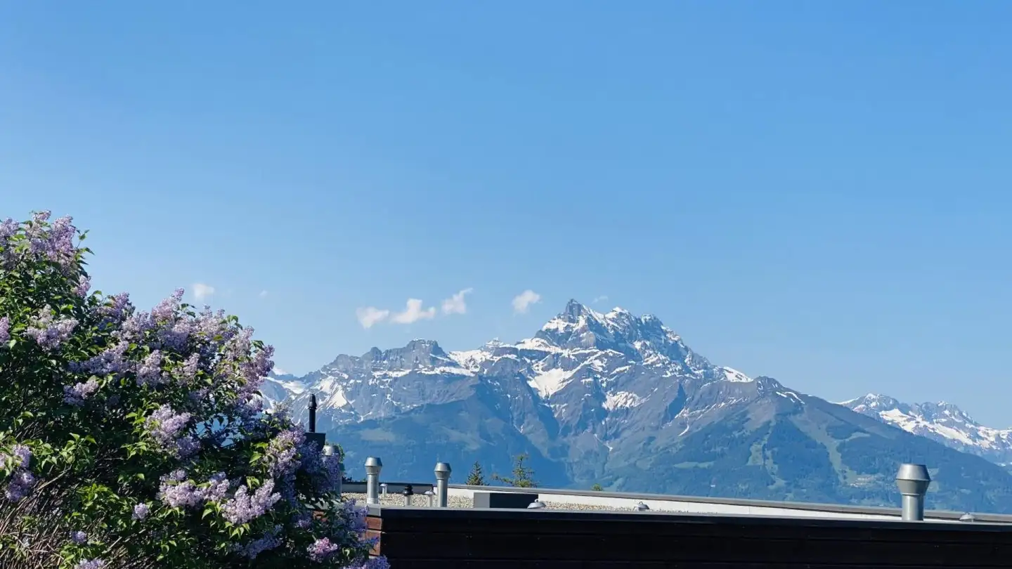 Apartment for sale - 1884 Villars-sur-Ollon - Photo 3