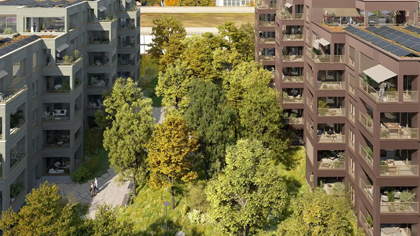 Wohnung kaufen - Sangenfeldstrasse 6b, 8570 Weinfelden - Foto 4