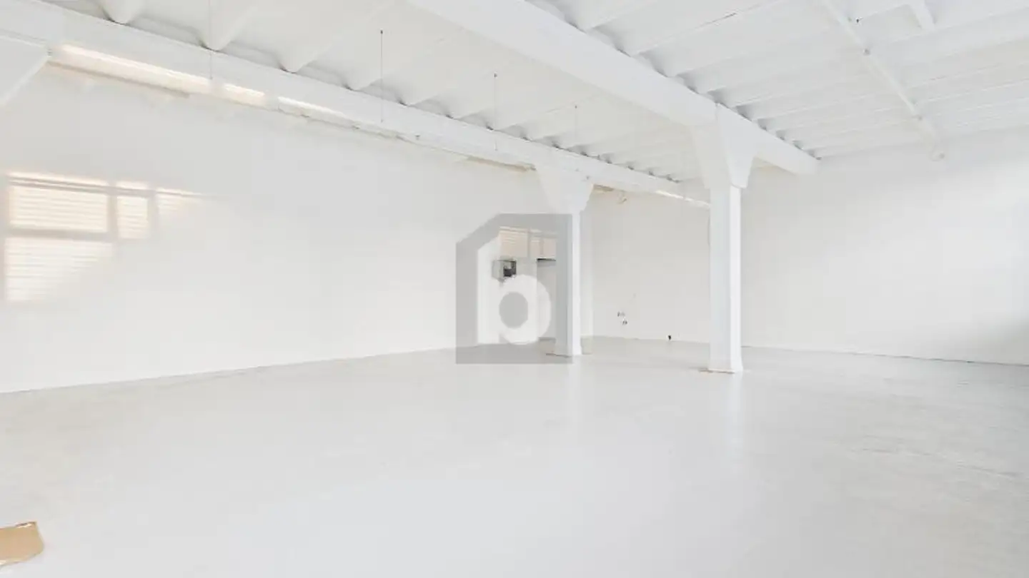 Industrial property for rent - 8700 Küsnacht ZH - Photo 2