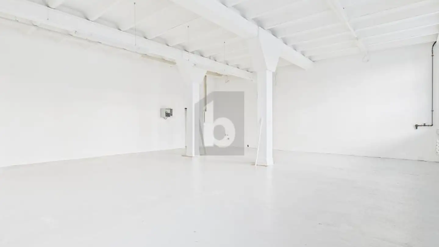 Industrial property for rent - 8700 Küsnacht ZH - Photo 4