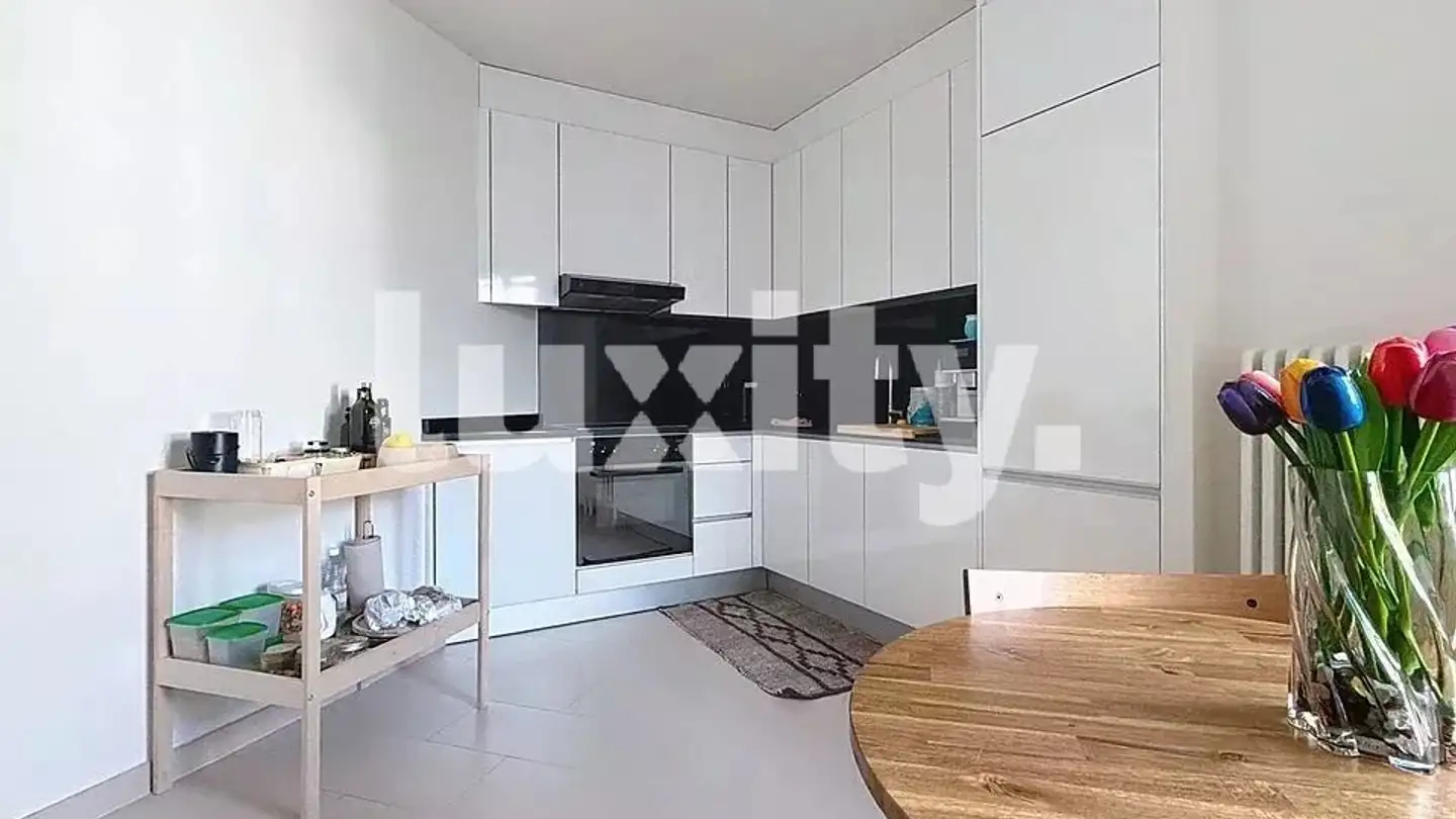 Appartamento in affitto - 1205 Genève