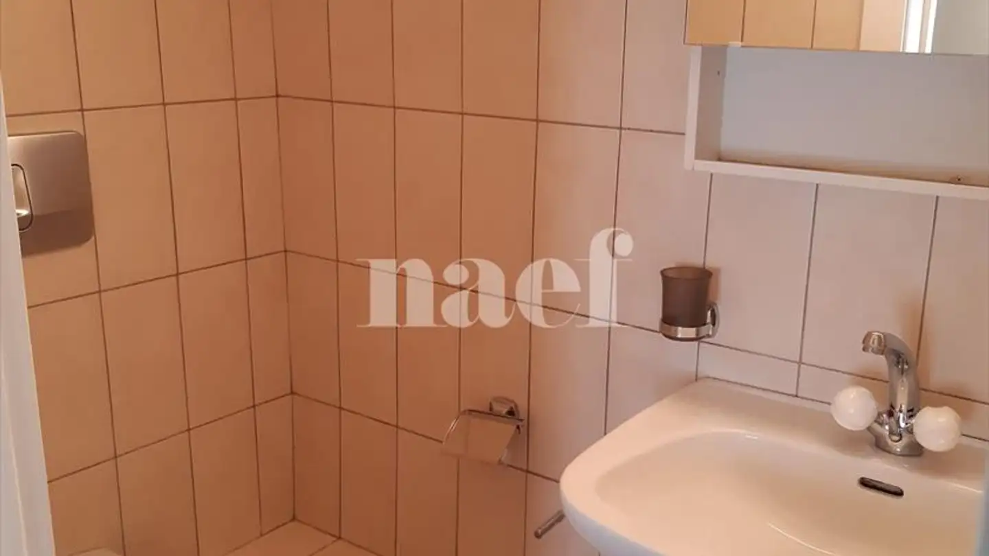 Appartamento in affitto - Chemin Du Seyon 20, 2063 Engollon - Photo 3