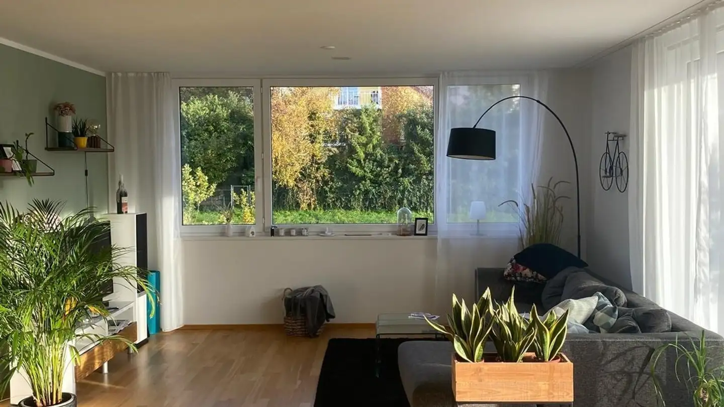 Wohnung mieten - 8408 Winterthur