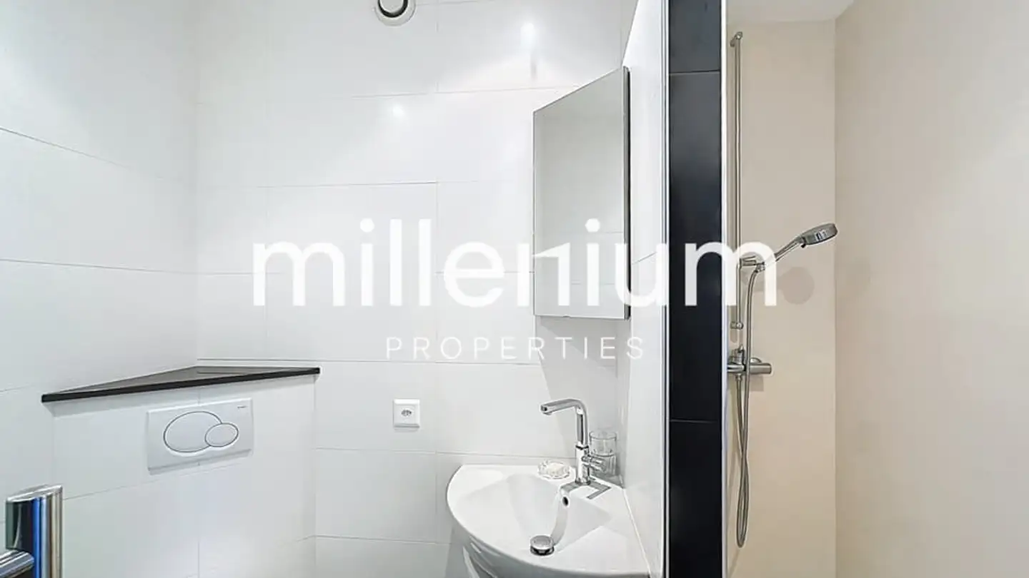 Appartement à louer - Rue Rousseau, 1201 Genève - Photo 3