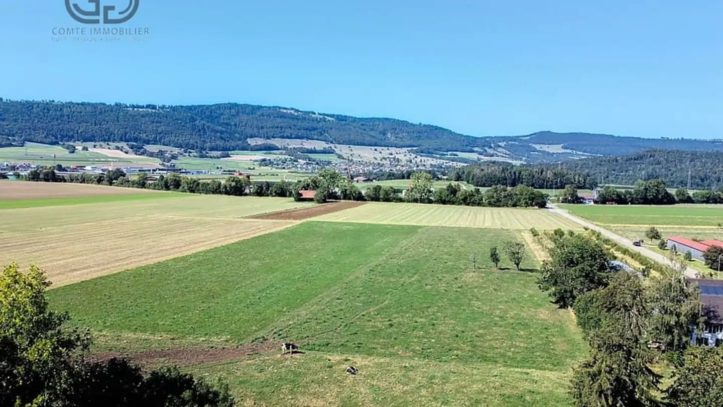 Constructible plot for sale - 2854 Bassecourt