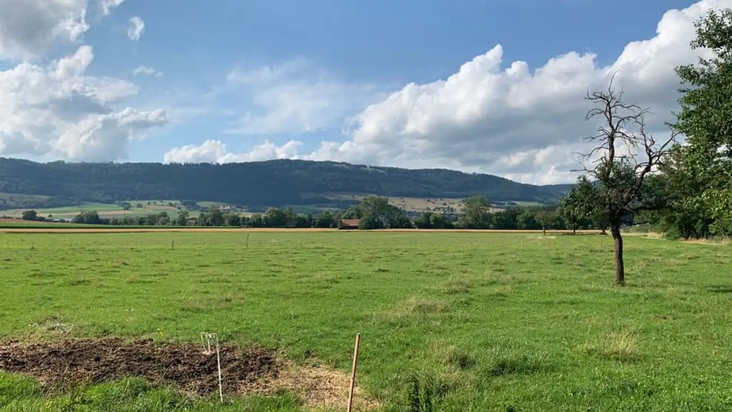 Constructible plot for sale - 2854 Bassecourt - Photo 2