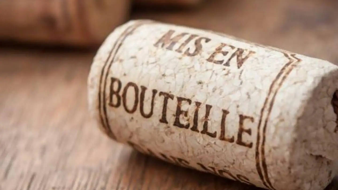 Shop for sale - 3098 Schliern b. Köniz - Photo 2