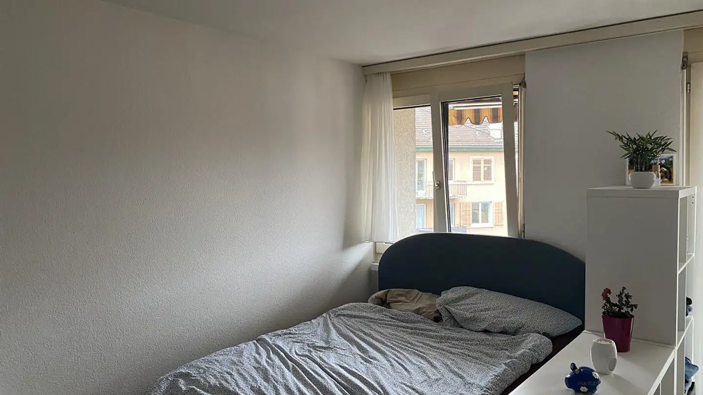 Wohnung mieten - 8050 Zürich - Foto 2