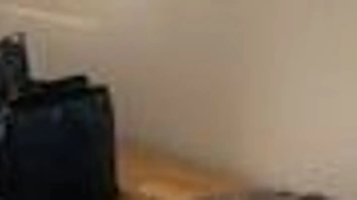 Studio in affitto - Langägertenstrasse 16, 8125 Zollikerberg - Foto 4