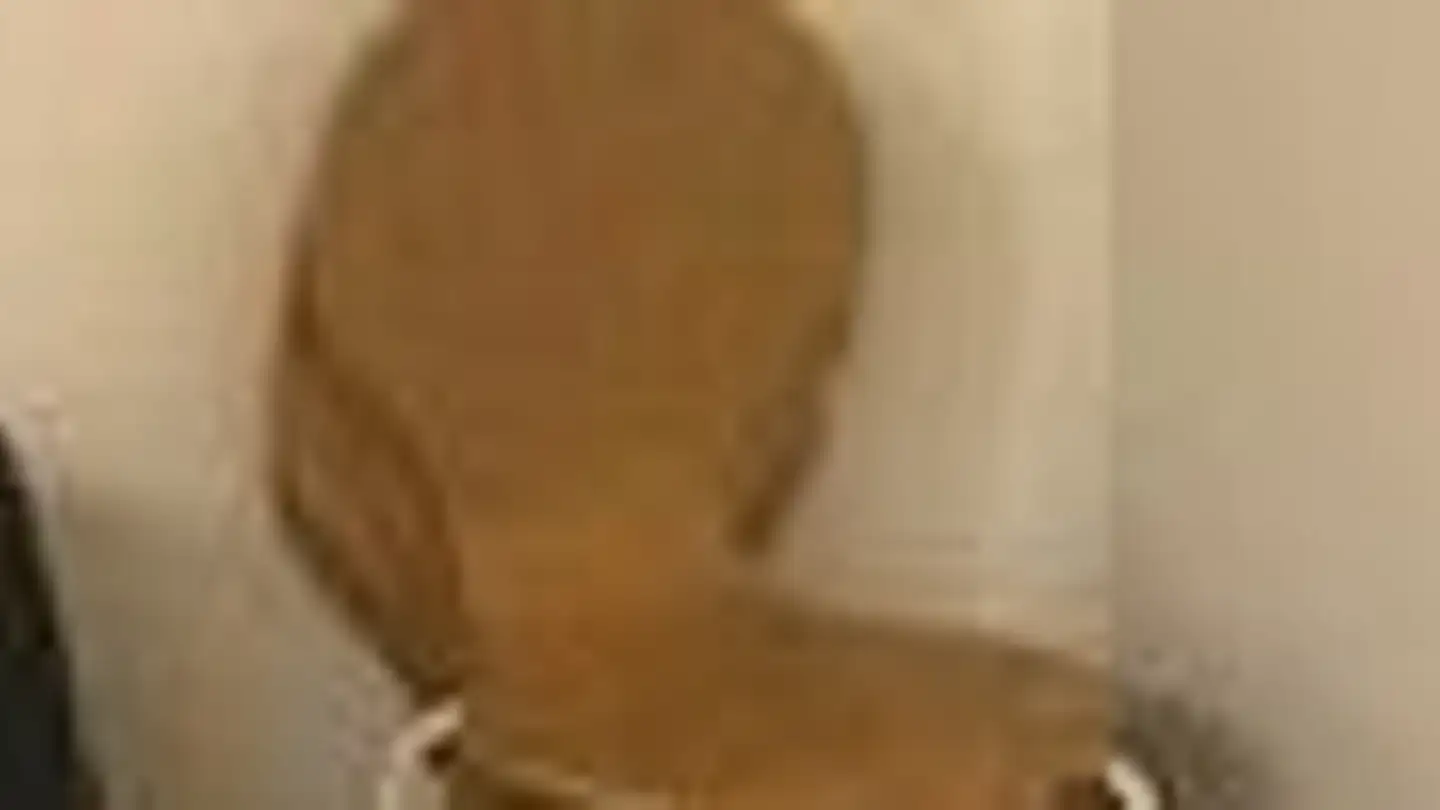 Studio in affitto - Langägertenstrasse 16, 8125 Zollikerberg - Foto 3