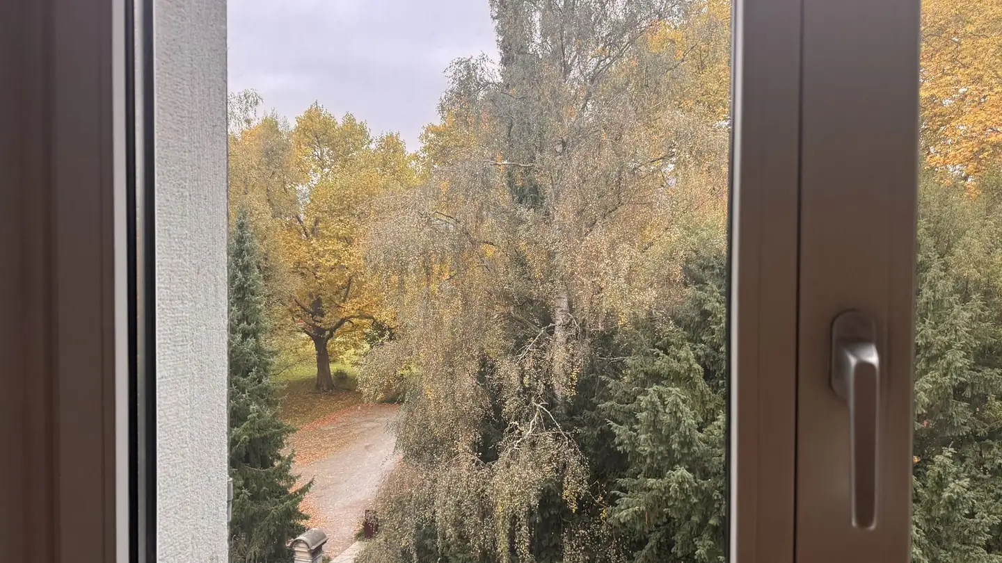 Stanza singola in affitto - 8003 Zürich - Foto 3