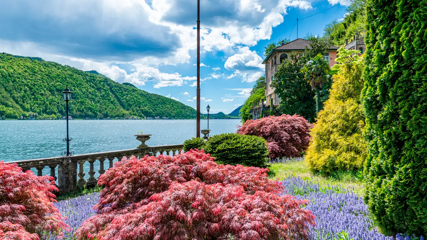 Villa in affitto - 6922 Morcote - Foto 4