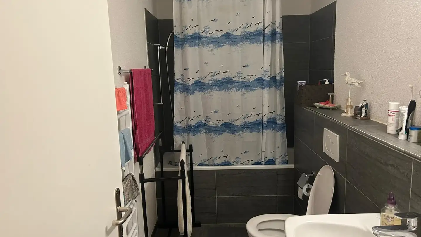 Single room for rent - Eichbühlstrasse 64, 8004 Zürich - Photo 3