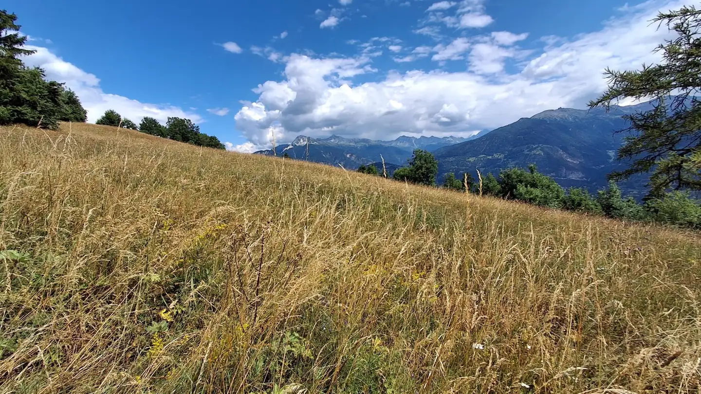 Bauland kaufen - 3960 Sierre