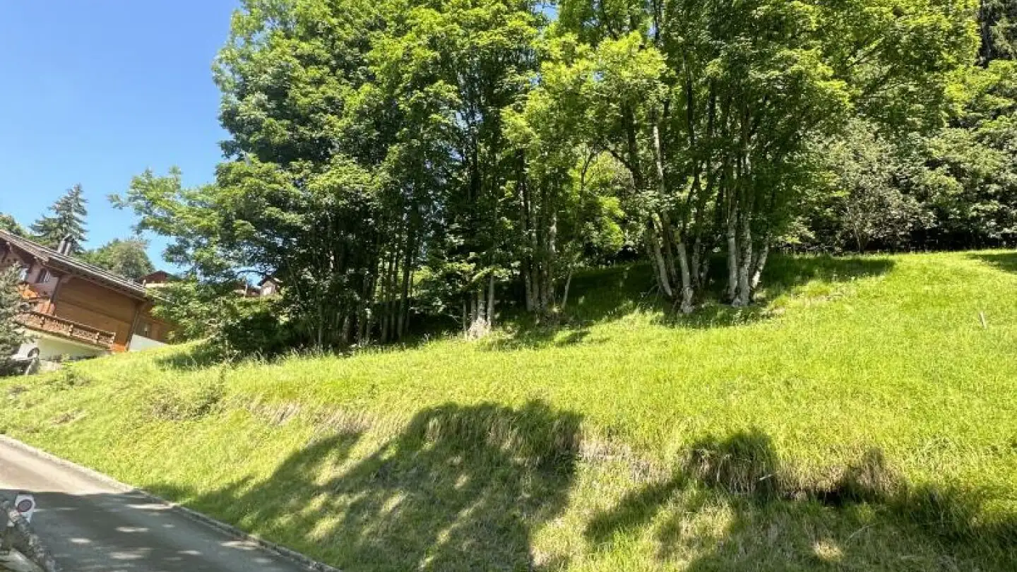 Industriebauland kaufen - 1885 Chesières - Foto 2