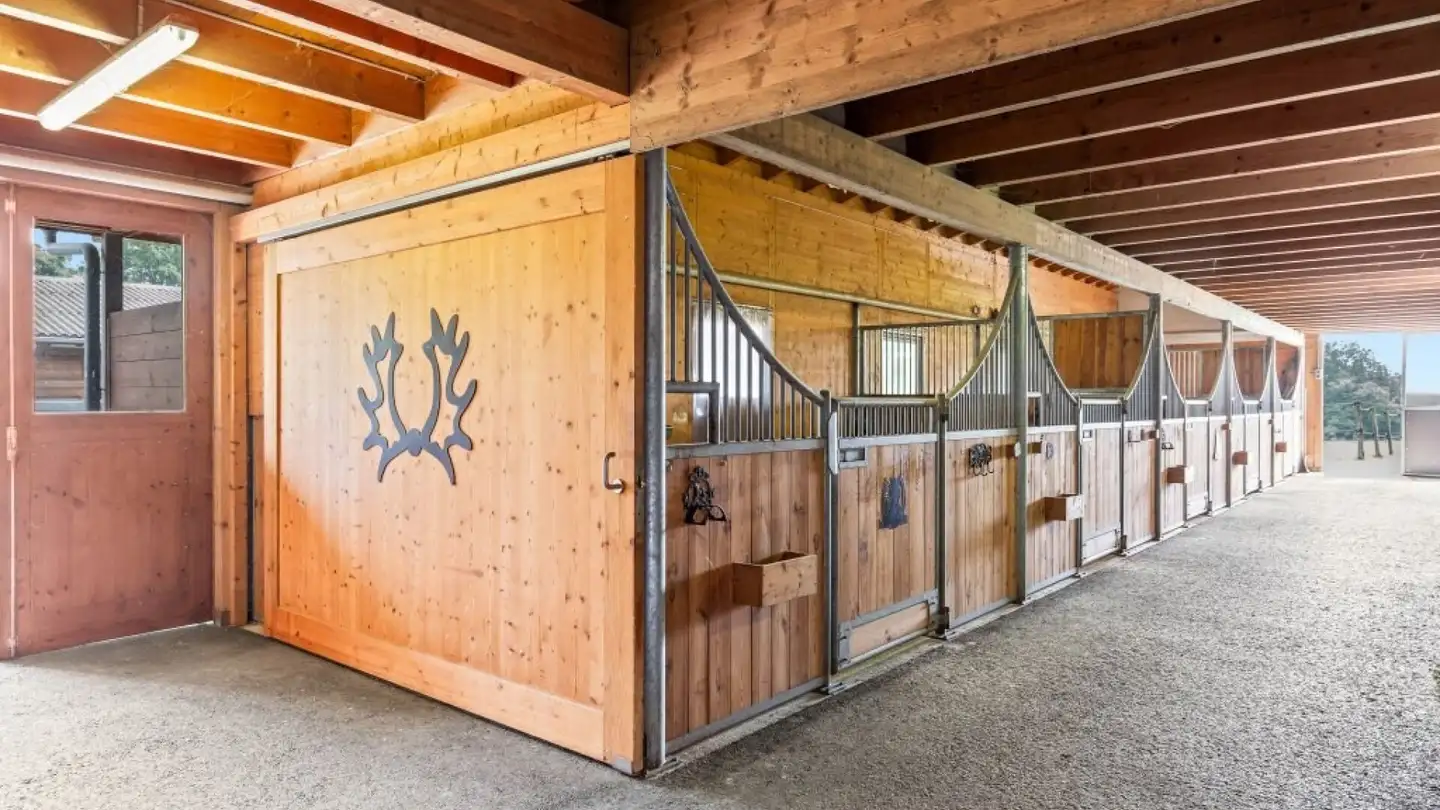 Riding hall for sale - Hauptstrasse 110, 8508 Homburg - Photo 3