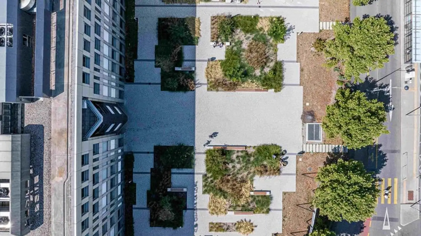 Office space for rent - Route De Chancy 59, 1213 Petit-Lancy