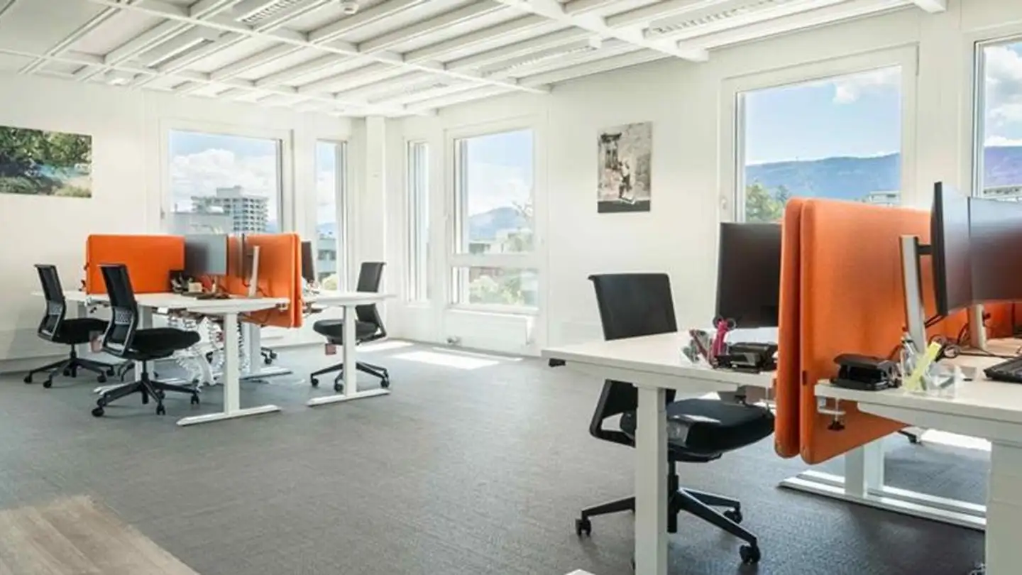 Office space for rent - Route De Chancy 59, 1213 Petit-Lancy - Photo 4