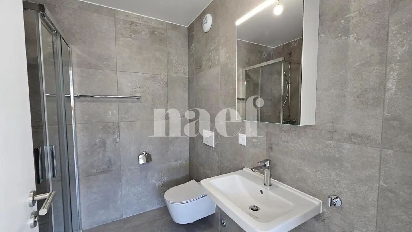 Appartamento in affitto - Chemin de Pré-Gentil 50, 1242 Satigny - Foto 4