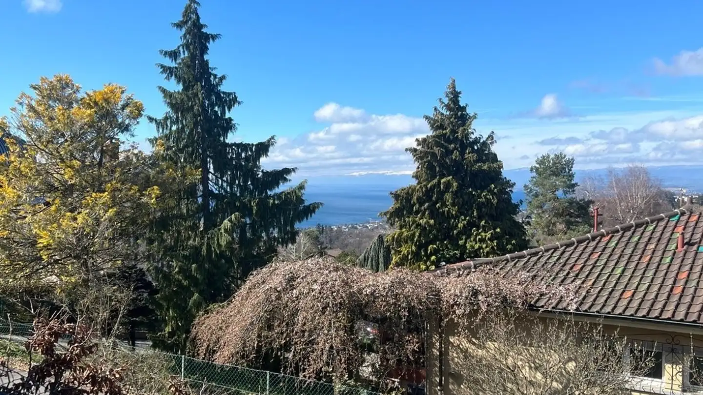 Apartment for rent - 1092 Belmont-sur-Lausanne - Photo 2