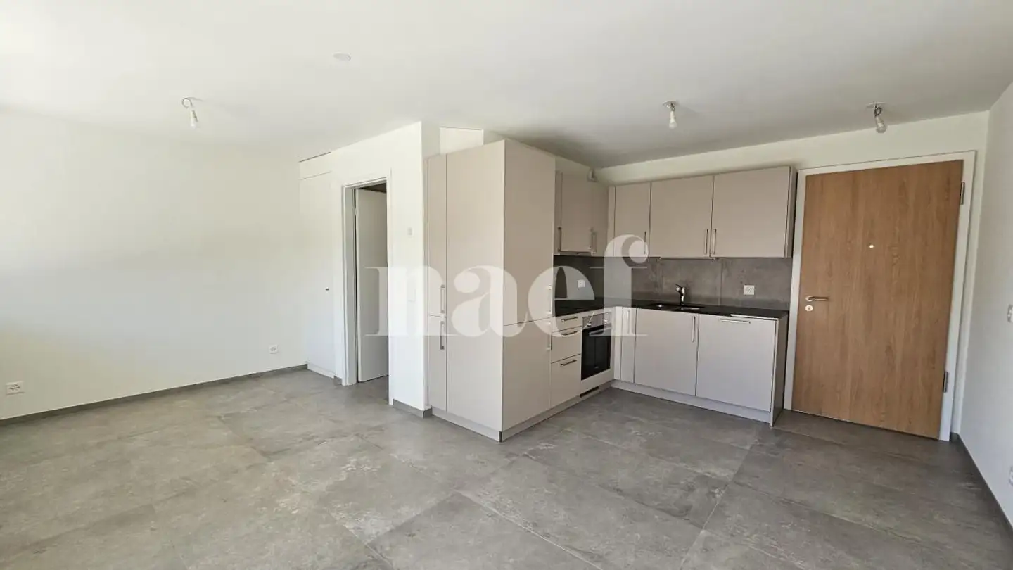 Appartamento in affitto - Chemin de Pré-Gentil 50, 1242 Satigny