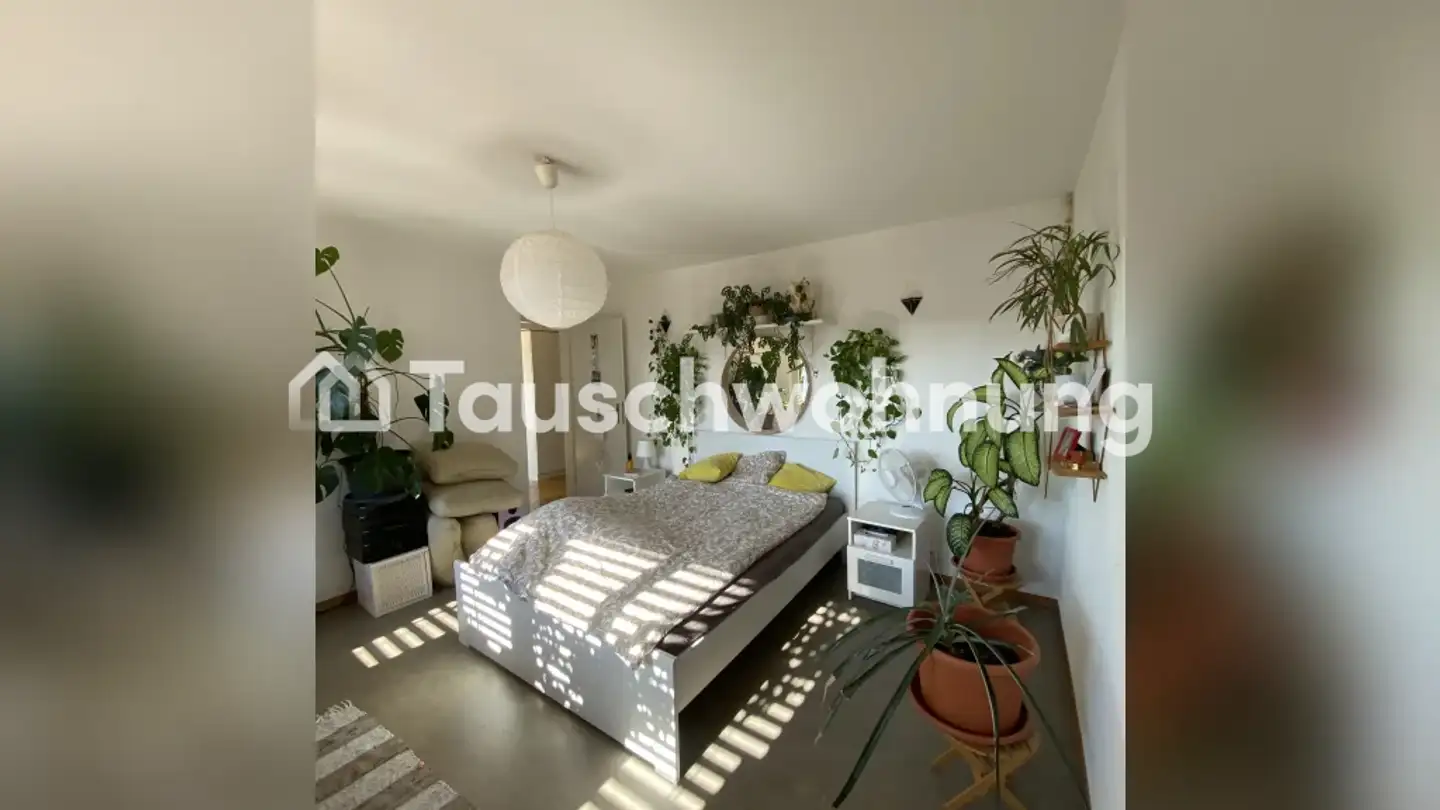Wohnung mieten - 8600 Dübendorf