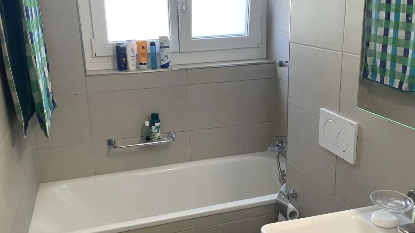 Furnished apartment for rent - Riedthofstrasse 73, 8105 Regensdorf - Photo 2