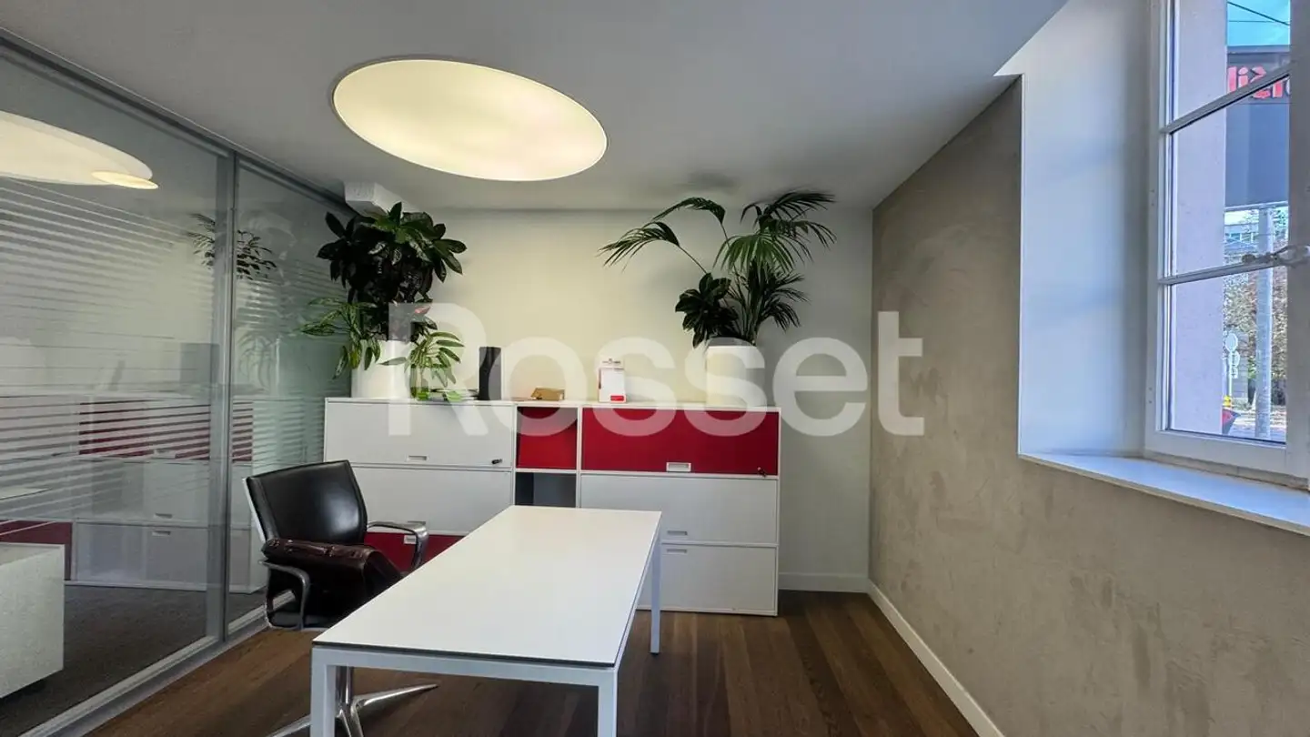 Arcade for rent - Rue Du Pont-Neuf 15, 1227 Carouge GE - Photo 4