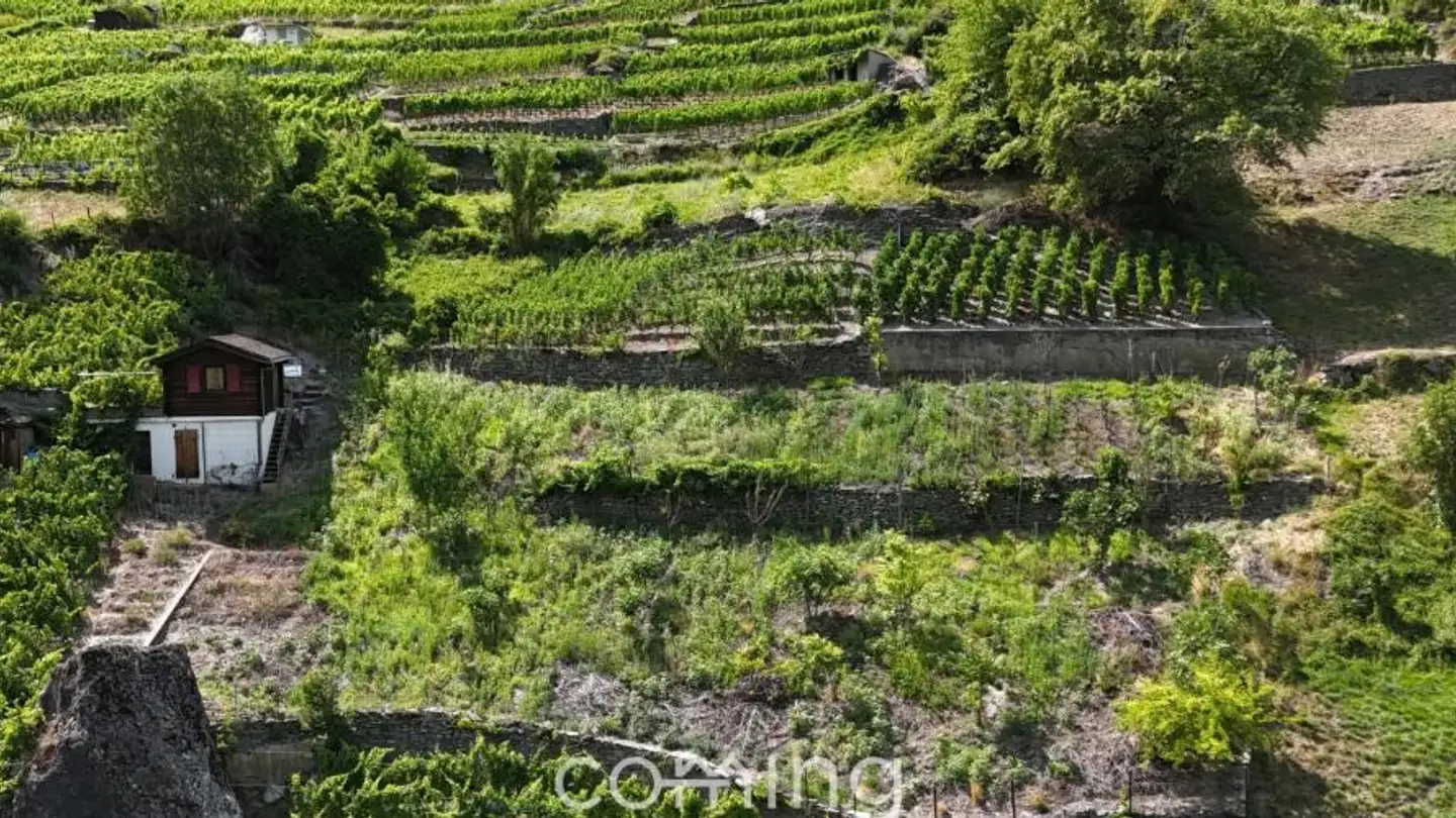Terrain constructible à vendre - 3922 Stalden VS - Photo 4