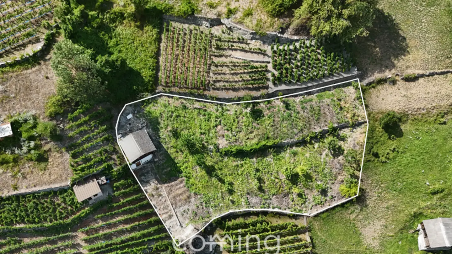 Terrain constructible à vendre - 3922 Stalden VS