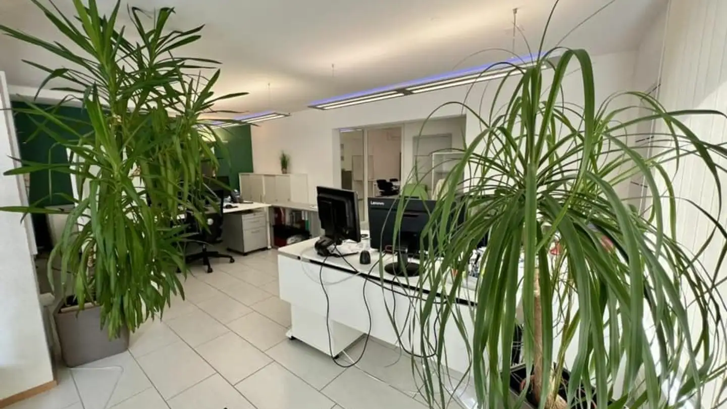 Commerciale in affitto - Rue De L'hôtel De Ville 5, 1470 Estavayer-le-Lac