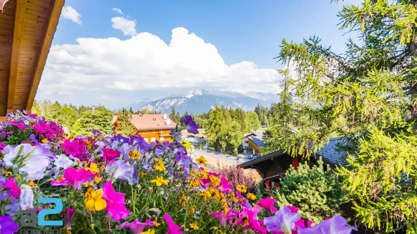 Appartamento in affitto - Route De Crans-Montana, 3963 Montana