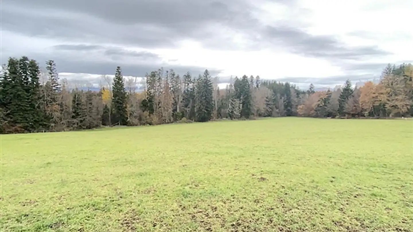 Bauernhof kaufen - 1553 Châtonnaye - Foto 3