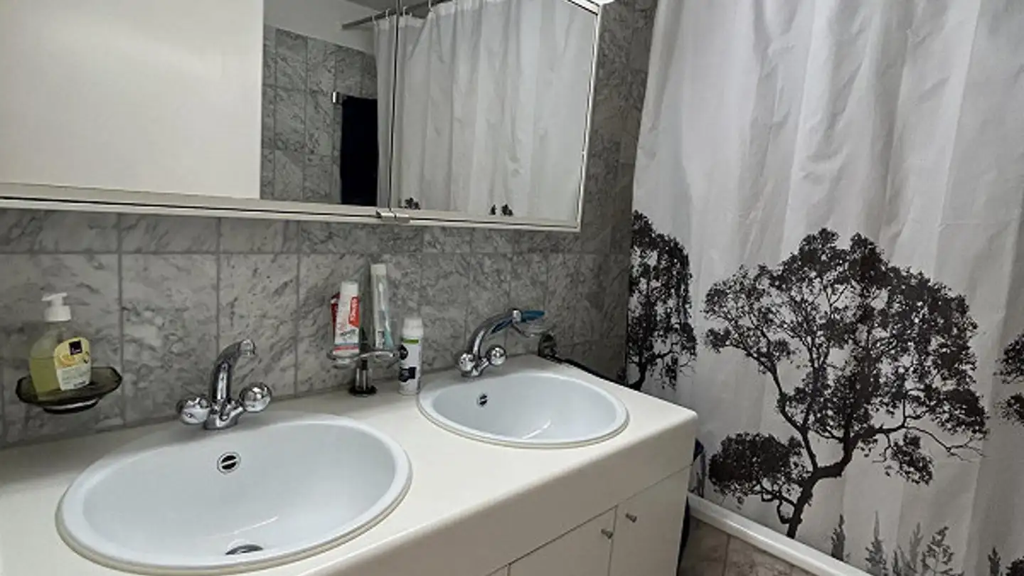 Appartamento in affitto - Langelenstrasse 10, 9100 Herisau - Photo 4