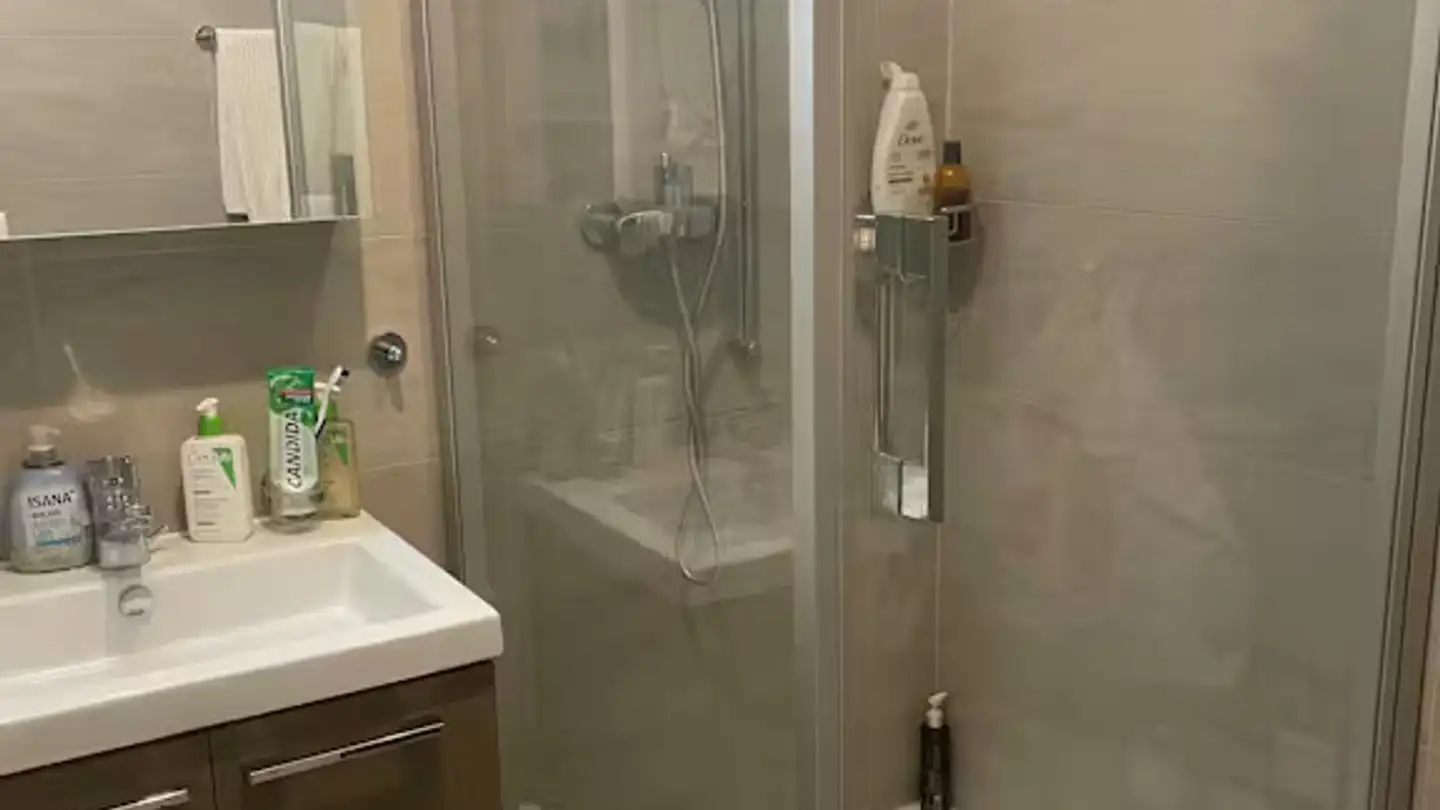 Maison individuelle à louer - Route De Collex, 1239 Collex - Photo 4