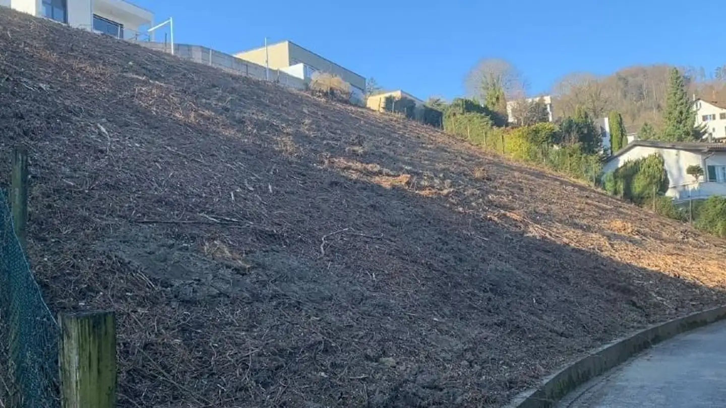 Terrain constructible à vendre - Ottersbachstrasse, 9430 St. Margrethen SG - Photo 3