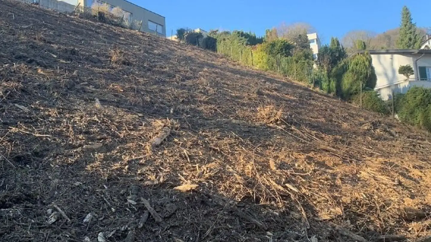 Terrain constructible à vendre - Ottersbachstrasse, 9430 St. Margrethen SG - Photo 4